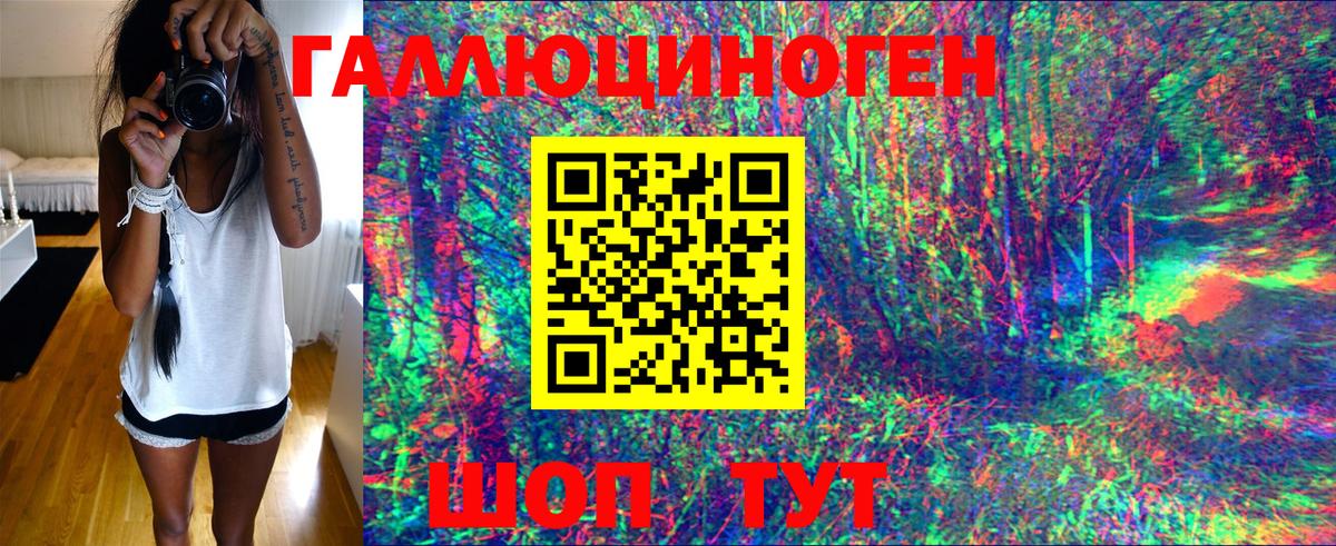 Богданович  Псилоцибиновые грибы Psilocybine cubensis  Вход с VPN 